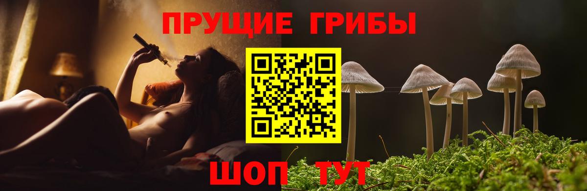 Лыткарино  Псилоцибиновые грибы Cubensis  Вход с VPN 